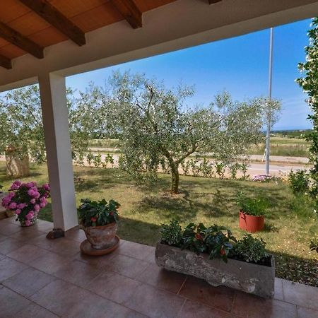 شقة Angela Novigrad Istria المظهر الخارجي الصورة